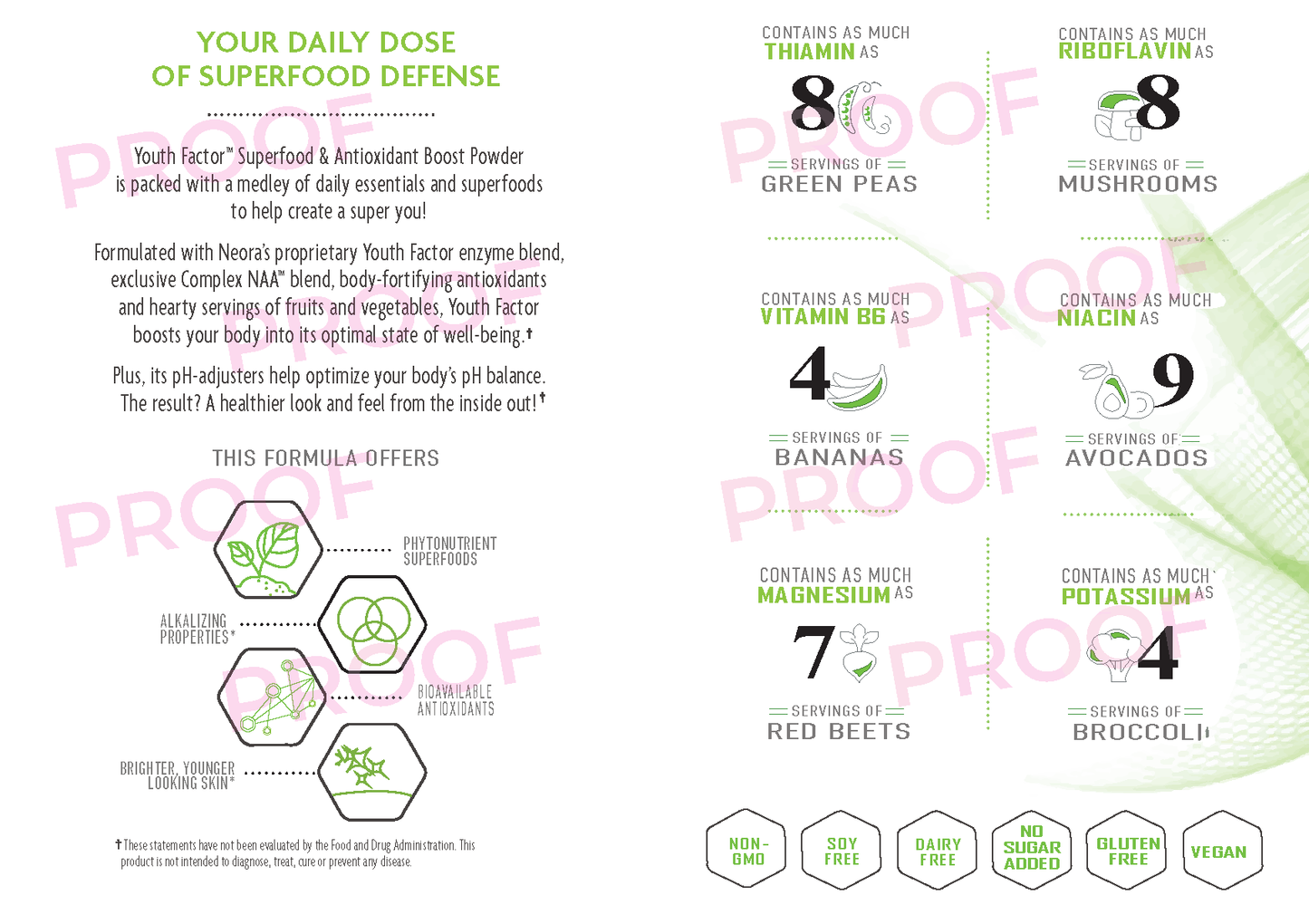 Youth Factor Pamphlet (25 pack)